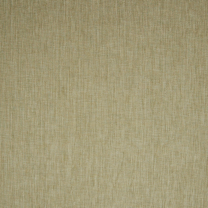 A6823 Alabaster by Greenhouse Designer Fabric 63% Polyester, 35% Viscose, 2% Polyamide China 37,000 </p><p>Repeat: None 55" - Swanky Fabrics -