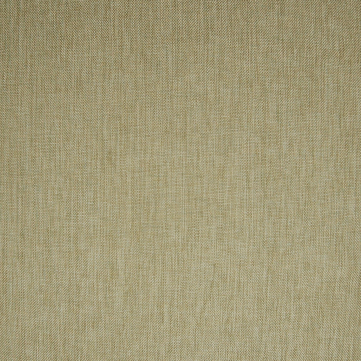A6823 Alabaster by Greenhouse Designer Fabric S52: Oyster 63% Polyester, 35% Viscose, 2% Polyamide China 37,000 double rubs Water & Soil Repellent </p><p>Repeat: None 55" - Swanky Fabrics -