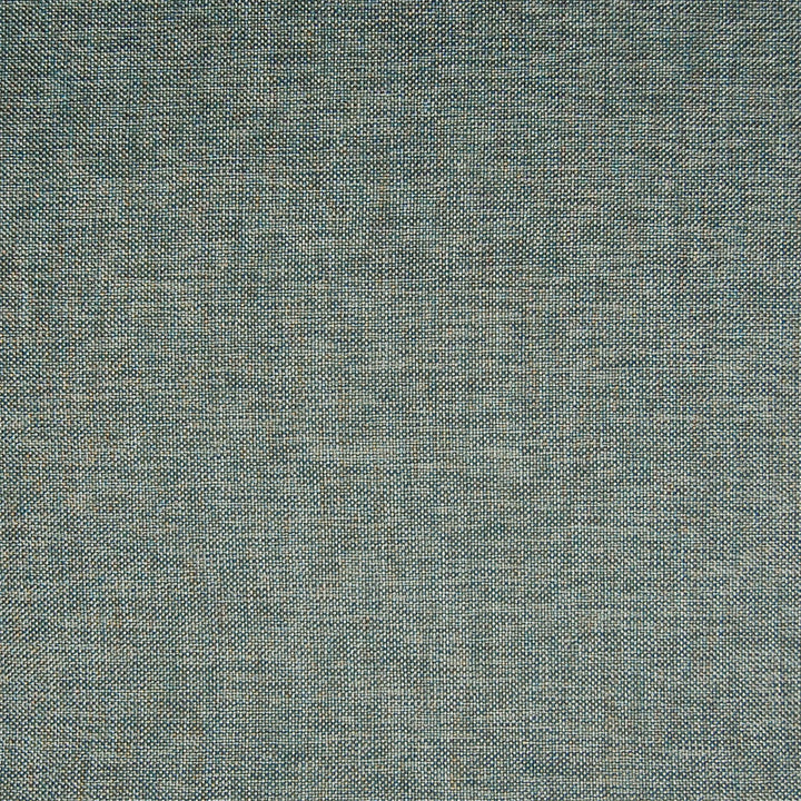 A7585 Slate by Greenhouse Designer Fabric 63% Polyester, 35% Viscose, 2% Polyamide China 37,000 </p><p>Repeat: None 55" - Swanky Fabrics -