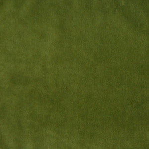 Greenhouse Fabric A7950 Forest
