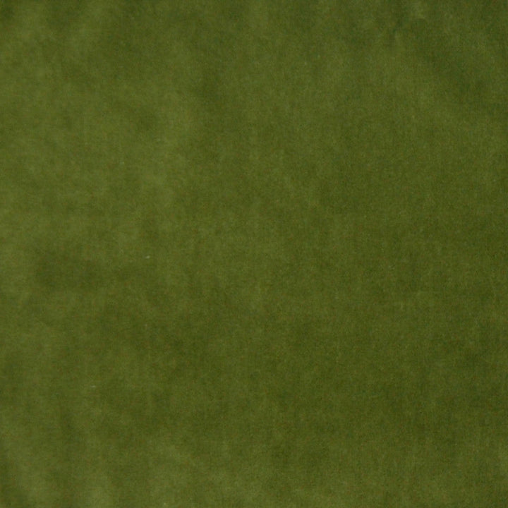 A7950 Forest by Greenhouse Designer Fabric 75% Polyester, 25% Cotton CHINA 201,000 </p><p>Repeat: None 54" - Swanky Fabrics -