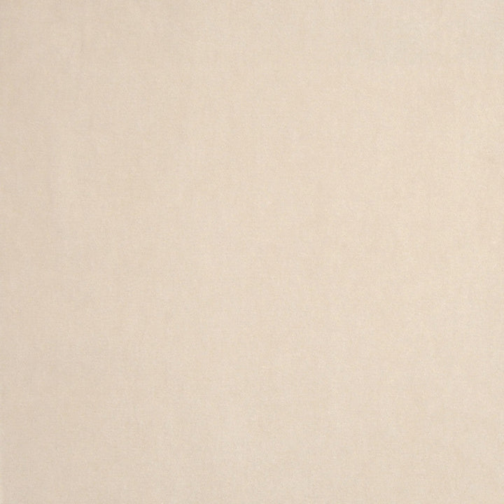 A7966 Sand by Greenhouse Designer Fabric 75% Polyester, 25% Cotton China 201,000 double rubs </p><p>Repeat: None 54" - Swanky Fabrics -