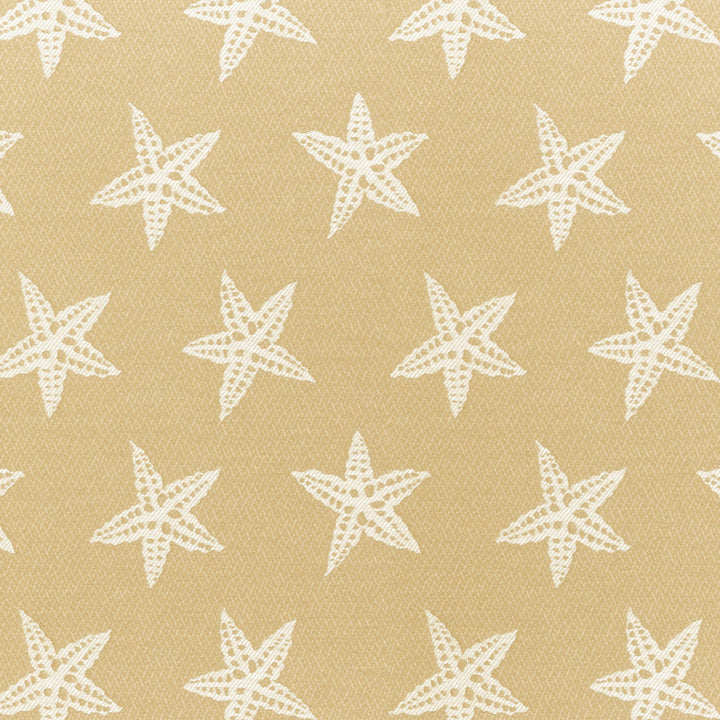 A8063 Sand by Greenhouse Designer Fabric F06: Outdoor 57% Polypropylene, 43% Polyester 2,000 Light Hours Mexico 45,000 double rubs Water Repellent </p><p>Repeat: 9.5" H, 8" V 54" - Swanky Fabrics -