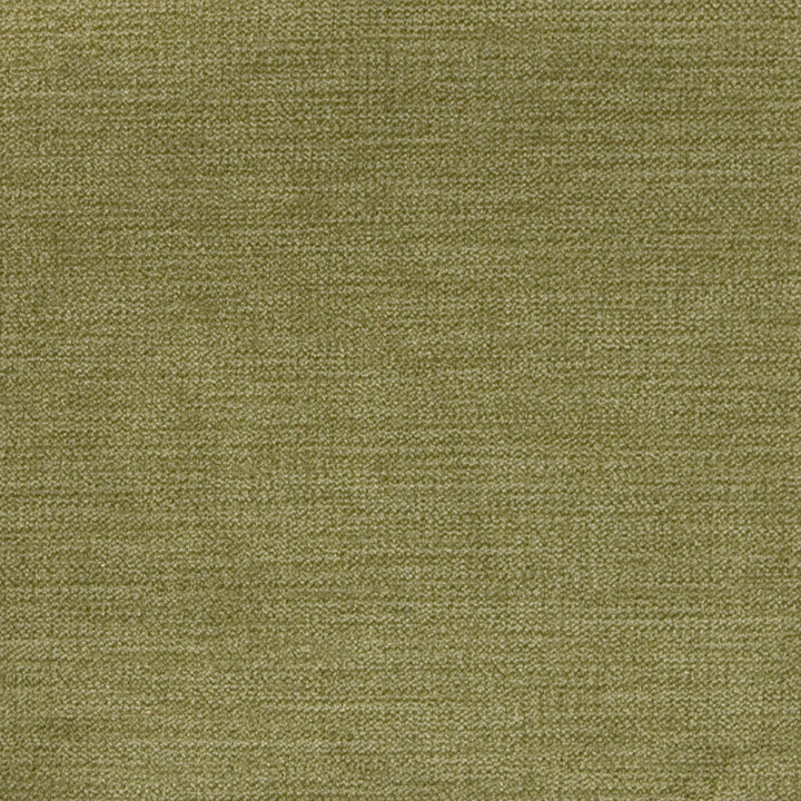 A8301 Sage by Greenhouse Designer Fabric E99: velvets by COLOR 90% Polyester, 10% Nylon China 100,000 double rubs </p><p>Repeat: None 58" - Swanky Fabrics -