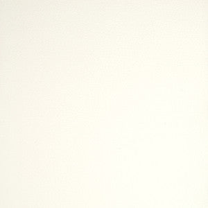 Greenhouse Fabric A9201 White