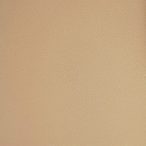 Greenhouse Fabric A9203 Cream
