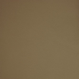 Greenhouse Fabric A9205 Taupe