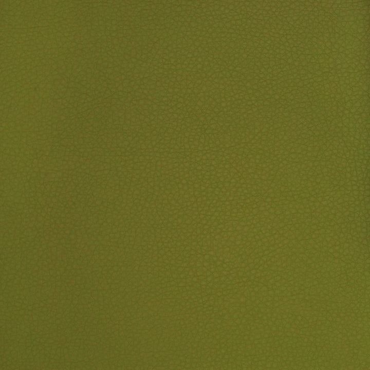 A9223 Sprig by Greenhouse Designer Fabric Contents: 100% Polyurethane, Backing: 70% Polyester, 30% Cotton CHINA 500,000 </p><p>Repeat: ND 54" - Swanky Fabrics -