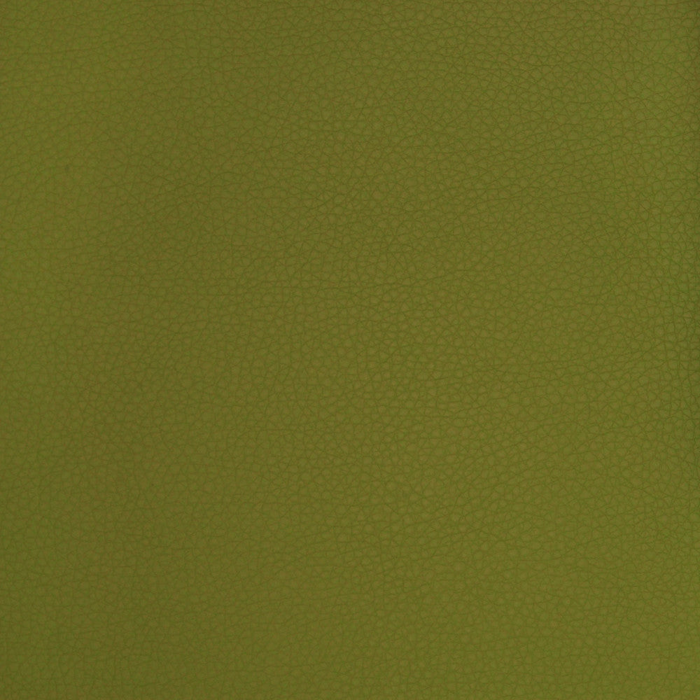 A9223 Sprig by Greenhouse Designer Fabric Contents: 100% Polyurethane, Backing: 70% Polyester, 30% Cotton China 500,000 double rubs </p><p>Repeat: ND 54" - Swanky Fabrics -