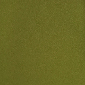 Greenhouse Fabric A9223 Sprig