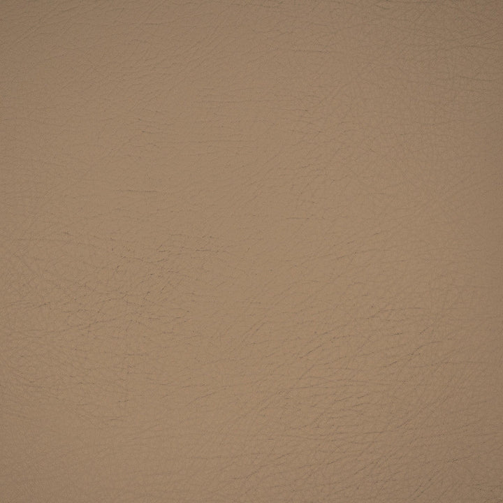 A9234 Ash by Greenhouse Designer Fabric Face: 100% Pu, Back: 100% Polyester China 100,000 </p><p>Repeat: None 54" - Swanky Fabrics -