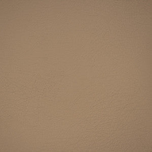 Greenhouse Fabric A9234 Ash