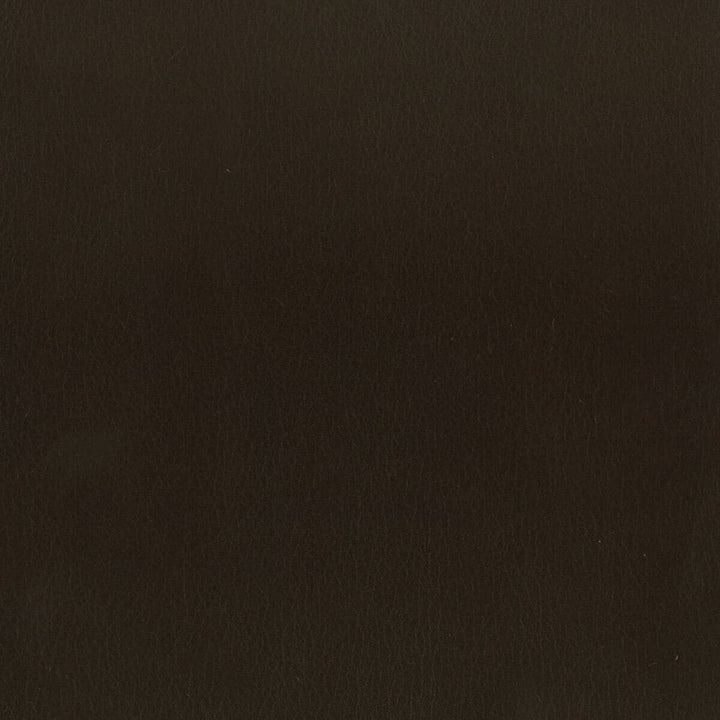 Abbreviate 2 Coffee by Stout Designer Fabric Leather Looks Ii 100% Other 9% Other CHINA FLAME RETARDANT-U.F.A.C. CLASS 1 (OR A) FLAME RETARDANT-N.F.P.A. 260A CLASS 1 CATB 117-2013 WYZENBEEK 100 000 DOUBLE RUB WEAR TEST (HEAVY DUTY) Horizontal: 0 and Vertical: 0 54 in - Swanky Fabrics -