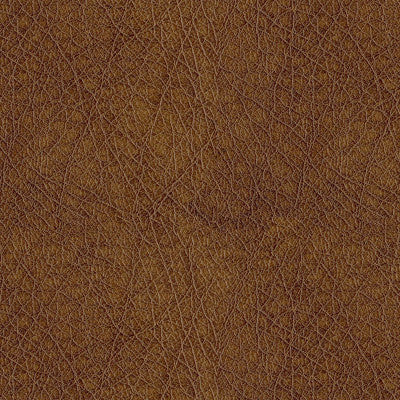 Houston 8009 Amber by ABBEYSHEA Designer Fabric N/A 100% Polyester China 125,000 Double Rubs </p><p>Repeat: Horizontal: and Vertical: 55" (140 cm) - Swanky Fabrics -