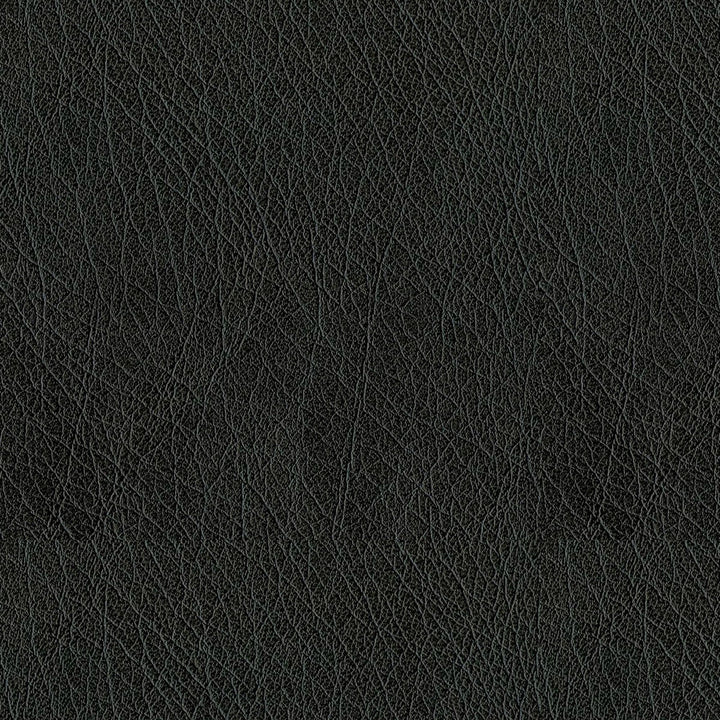Houston 9009 Black by ABBEYSHEA Designer Fabric N/A 100% Polyester China 125,000 Double Rubs </p><p>Repeat: Horizontal: and Vertical: 55" (140 cm) - Swanky Fabrics -