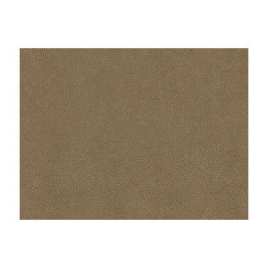 Kravet Fabric Abilene Stone