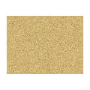 Kravet Fabric Abilene Dune