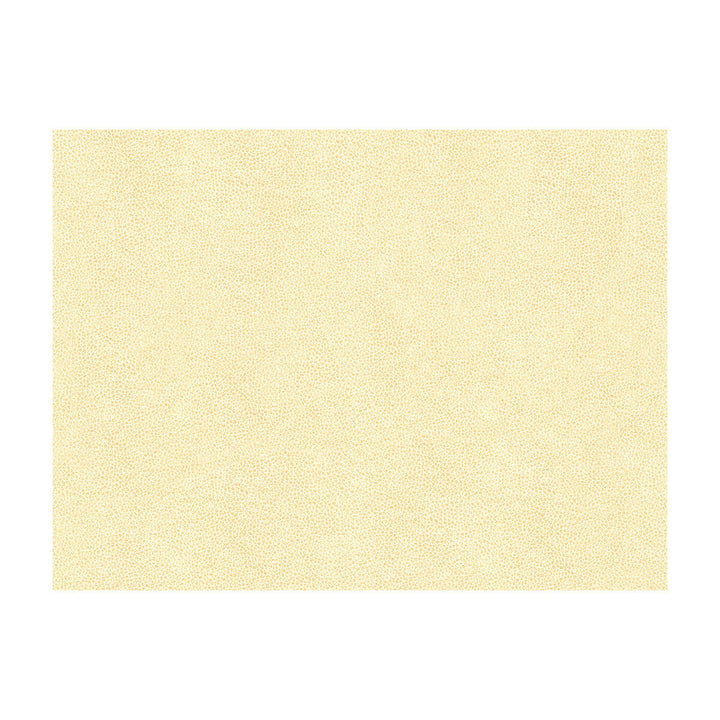 Abilene Fossil by Kravet Contract Fabric Kravet Contract Fabric Abilene FossilFabric POLYURETHANE - 100% China </p><p>Repeat: H: , V: 54 - Fabric Carolina -