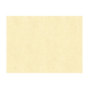 Kravet Fabric Abilene Fossil