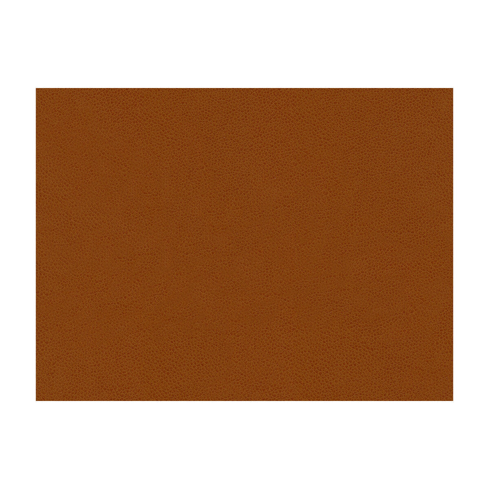 Abilene Penny by Kravet Contract Designer Fabric POLYURETHANE - 100% China HEAVY Horizontal: and Vertical: 54 - Swanky Fabrics -