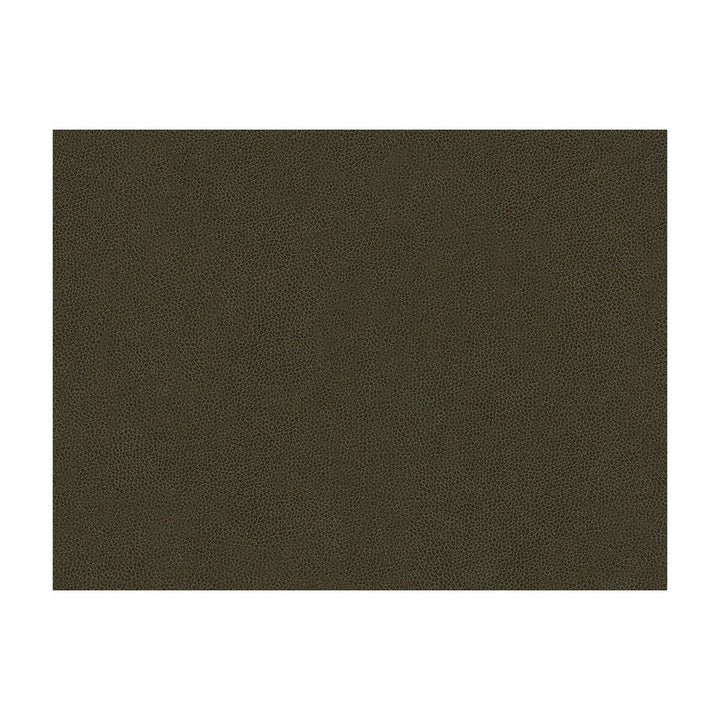 Abilene Stallion by Kravet Contract Designer Fabric - POLYURETHANE - 100% China HEAVY Horizontal: - and Vertical: - 54 - Swanky Fabrics -