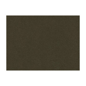 Kravet Fabric Abilene Stallion