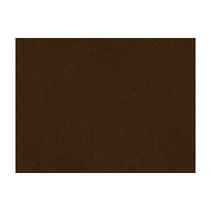Kravet Fabric Abilene Cocoa