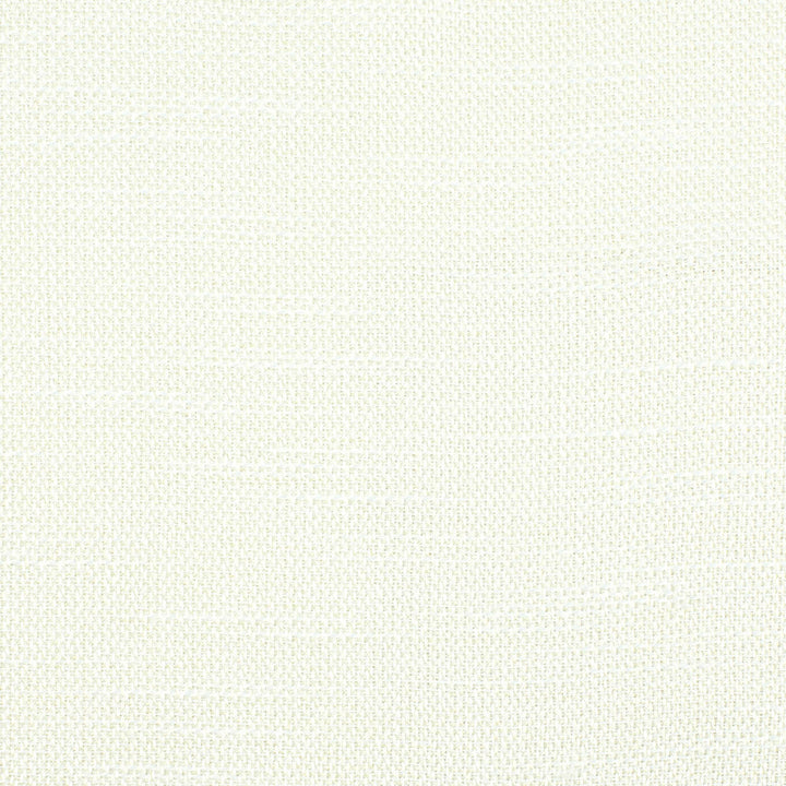Accent 1 Pearl by Stout Designer Fabric COLOR MY WINDOW NEUTRAL/MICA 100%POL TURKEY FLAME RETARDANT-N.F.P.A. 701 SMALL SCALE Horizontal: 0 and Vertical: 0 55 in - Swanky Fabrics -