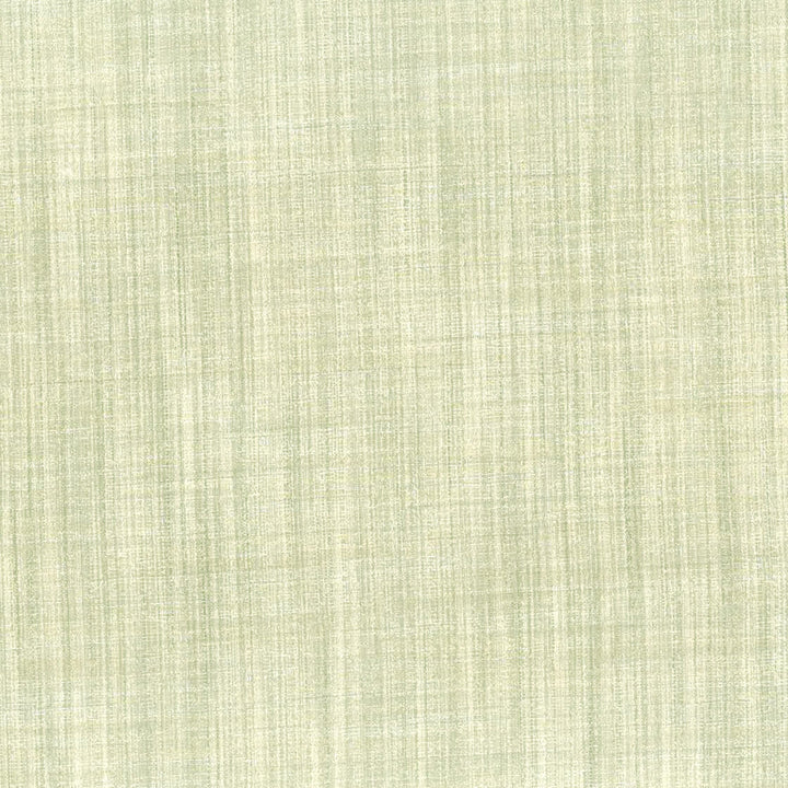Accord 1 Driftwood by Stout Fabric Stout Fabric Accord 1 DriftwoodFabric COLOR MY WINDOW BIRCH/LINEN 100%POL INDIA </p><p>Repeat: H: 0.000, V: 0.000 55 in - Fabric Carolina -