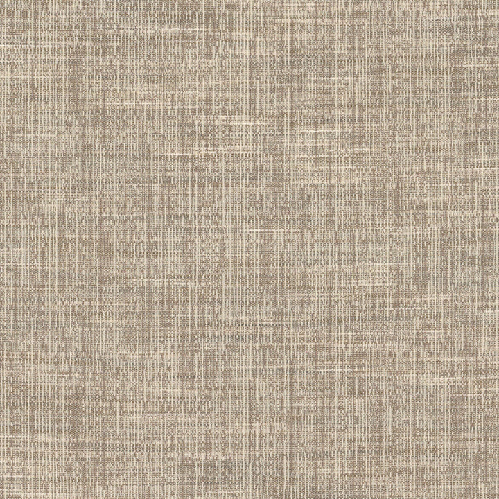 Adair 1 Mushroom by Stout Fabric Stout Fabric Adair 1 MushroomFabric COLOR MY WINDOW PEWTER/TAUPE 100%POL INDIA </p><p>Repeat: H: 0.000, V: 0.000 54.5 in - Fabric Carolina -