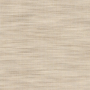 Stout Fabric Adair 2 Raffia