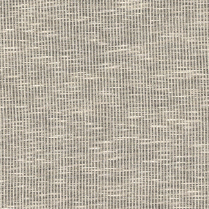 Adair 3 Graphite by Stout Fabric Stout Fabric Adair 3 GraphiteFabric COLOR MY WINDOW PEWTER/TAUPE 100%POL INDIA </p><p>Repeat: H: 0.000, V: 0.000 54.5 in - Fabric Carolina -