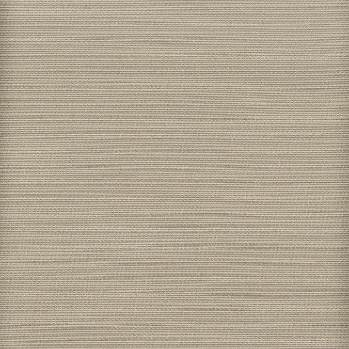 Admire 11 Nickel by Stout Designer Fabric SATIN SPLENDOR 100%POL INDIA Horizontal: 0.000 and Vertical: 0.000 55 in - Swanky Fabrics -
