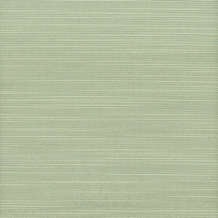 Admire 12 Sage by Stout Designer Fabric SATIN SPLENDOR 100%POL INDIA FLAME RETARDANT-N.F.P.A. 701 SMALL SCALE MARTINDALE WEAR TEST (15 000 CIRCULAR RUBS) Horizontal: 0 and Vertical: 0 55 in - Swanky Fabrics -