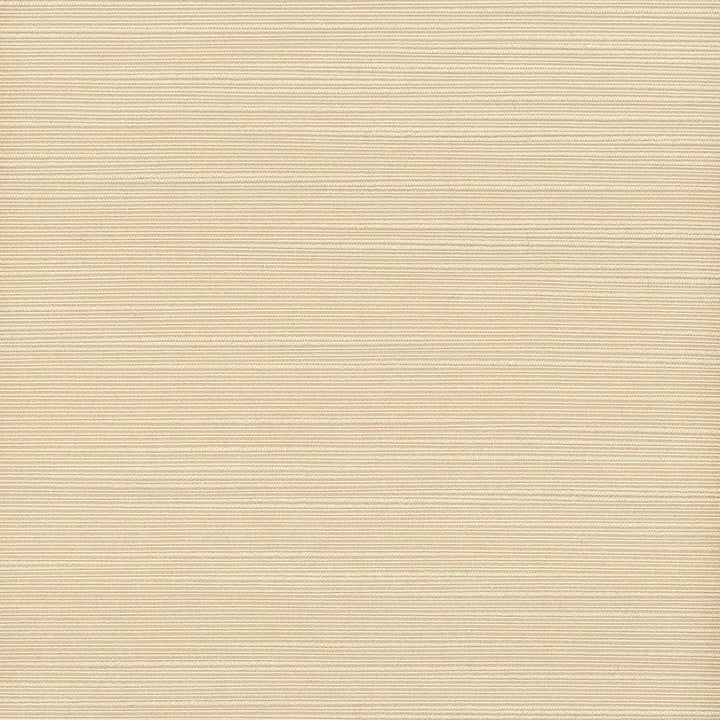 Admire 14 Buff by Stout Designer Fabric Satin Splendor 100% Polyester INDIA FLAME RETARDANT-N.F.P.A. 701 SMALL SCALE MARTINDALE WEAR TEST (15 000 CIRCULAR RUBS) Horizontal: 0 and Vertical: 0 55 in - Swanky Fabrics -