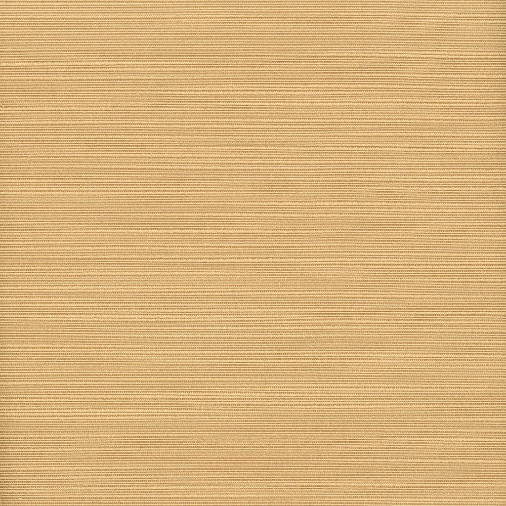 Admire 27 Lion by Stout Fabric Stout Fabric Admire 27 LionFabric SATIN SPLENDOR 100%POL INDIA </p><p>Repeat: H: 0.000, V: 0.000 55 in - Fabric Carolina -