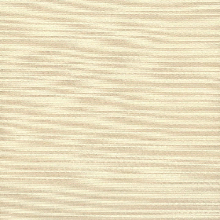 Admire 32 Champagne by Stout Fabric Stout Fabric Admire 32 ChampagneFabric SATIN SPLENDOR INDIA </p><p>Repeat: H: 0.000, V: 0.000 55 in - Fabric Carolina -