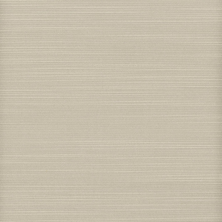 Admire 34 Dove by Stout Fabric Stout Fabric Admire 34 DoveFabric SATIN SPLENDOR INDIA </p><p>Repeat: H: 0.000, V: 0.000 55 in - Fabric Carolina -
