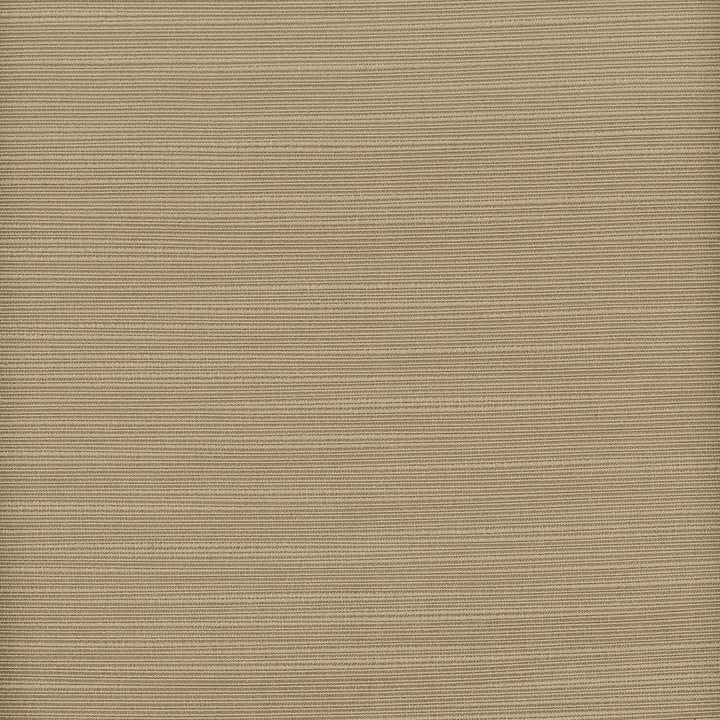 Admire 39 Truffle by Stout Designer Fabric SATIN SPLENDOR 100%POL INDIA FLAME RETARDANT-N.F.P.A. 701 SMALL SCALE MARTINDALE WEAR TEST (15 000 CIRCULAR RUBS) Horizontal: 0 and Vertical: 0 55 in - Swanky Fabrics -