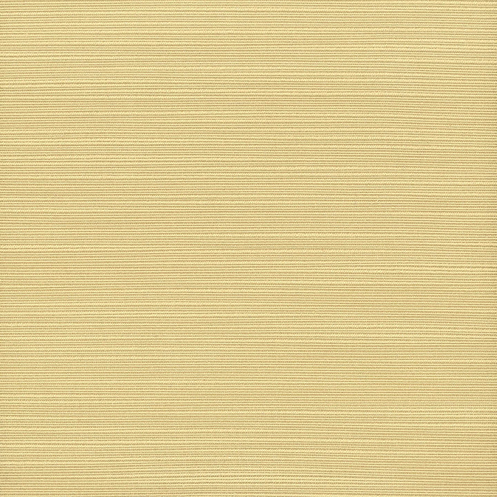 Admire 3 Chamomile by Stout Designer Fabric SATIN SPLENDOR 100%POL INDIA FLAME RETARDANT-N.F.P.A. 701 SMALL SCALE MARTINDALE WEAR TEST (15 000 CIRCULAR RUBS) Horizontal: 0 and Vertical: 0 55 in - Swanky Fabrics -