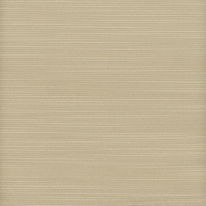 Admire 41 Driftwood by Stout Designer Fabric SATIN SPLENDOR 100%POL INDIA FLAME RETARDANT-N.F.P.A. 701 SMALL SCALE MARTINDALE WEAR TEST (15 000 CIRCULAR RUBS) Horizontal: 0 and Vertical: 0 55 in - Swanky Fabrics -