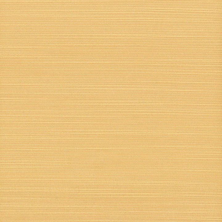 Admire 44 Butterscotch by Stout Fabric Stout Fabric Admire 44 ButterscotchFabric SATIN SPLENDOR 100%POL INDIA </p><p>Repeat: H: 0.000, V: 0.000 55 in - Fabric Carolina -