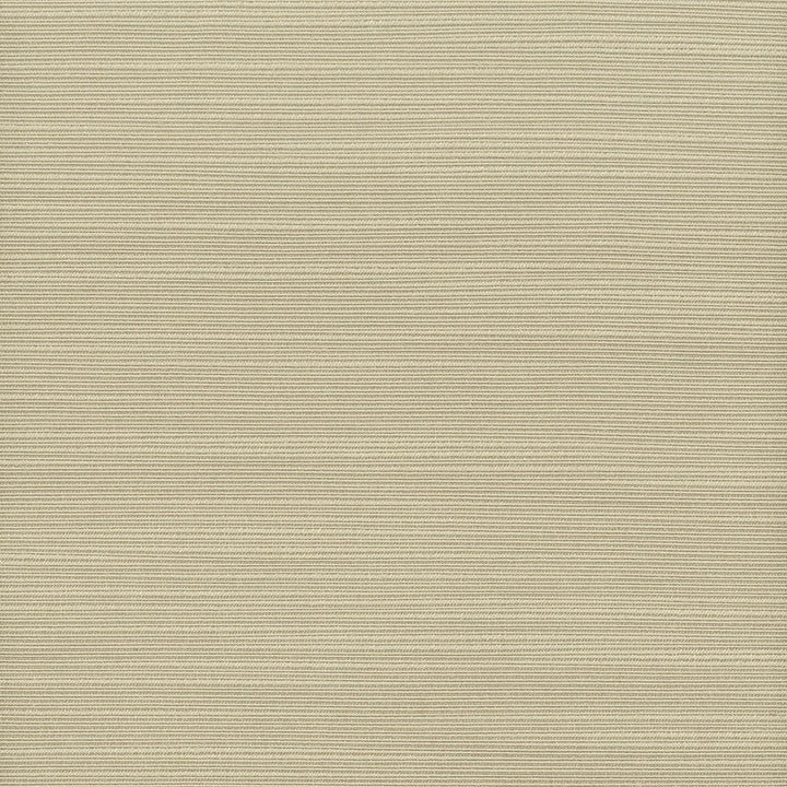 Admire 5 Hemp by Stout Fabric Stout Fabric Admire 5 HempFabric SATIN SPLENDOR INDIA </p><p>Repeat: H: 0.000, V: 0.000 55 in - Fabric Carolina -
