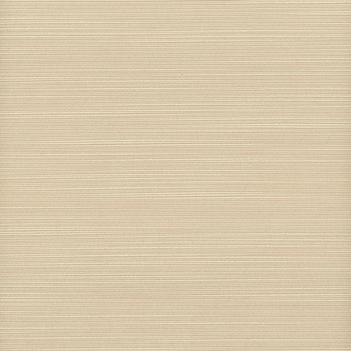 Admire 7 Sandstone by Stout Designer Fabric SATIN SPLENDOR 100%POL INDIA CATB 117-2013 WYZENBEEK 20 000 DOUBLE RUB WEAR TEST (HEAVY DUTY) Horizontal: 0.000 and Vertical: 0.000 55 in - Swanky Fabrics -
