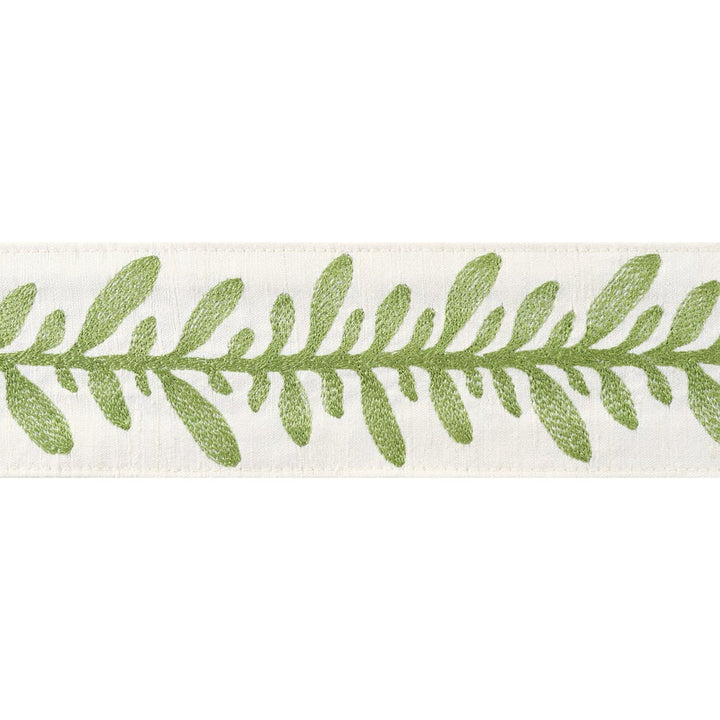 Calathea Tape Spring AE12323 by Thibaut Trim Thibaut Trim Calathea Tape Spring AE12323Trim ISLANDER 90% Silk, 10% Viscose U.S.A </p><p>Repeat: H: , V: 2.75 in  (6.99 cm) - Fabric Carolina -