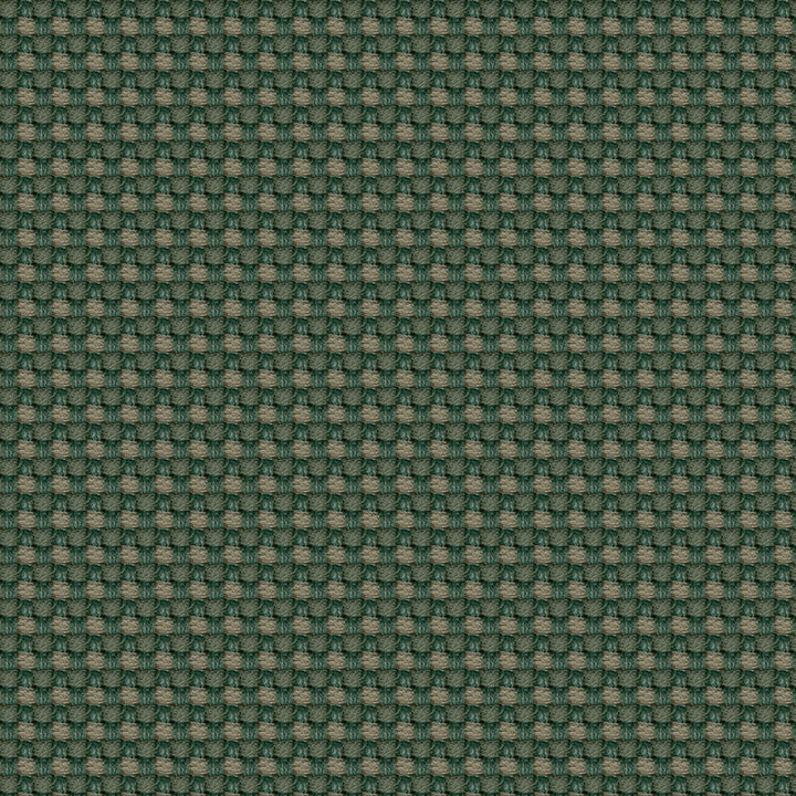 Aerotex 2008 Cactus by ABBEYSHEA Designer Fabric N/A 100% Polyvinyl Chloride (PVC) China 30,000 Double Rubs </p><p>Repeat: Horizontal: and Vertical: 54" (137 cm) - Swanky Fabrics -