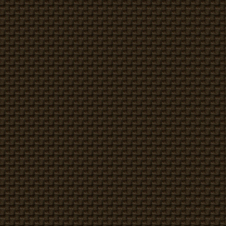 Aerotex 8888 Brown by ABBEYSHEA Designer Fabric 100% Olefin Canada 175,000 Double Rubs (Wyzenbeek) </p><p>Repeat: Horizontal: 0.2" (0.5 cm) Up the Roll and Vertical: 0.1" (0.3 cm) Across the Roll 54" (137 cm) - Swanky Fabrics -