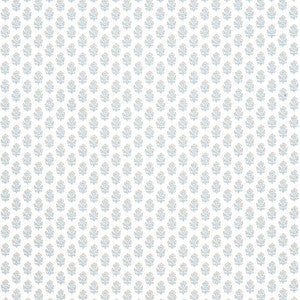 Anna French Fabric Julian Beige and Spa Blue AF15161