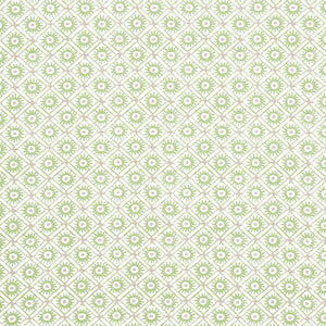 Anna French Fabric Mini Sun Green AF24568