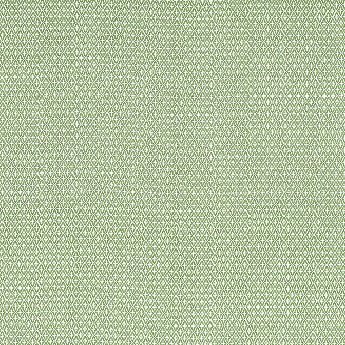 Lindsey Green AF57814 by Anna French Fabric Anna French Fabric Lindsey Green AF57814Fabric Bristol Fabric Book 100% Linen INDIA </p><p>Repeat: V: 5.75 54 - Fabric Carolina -
